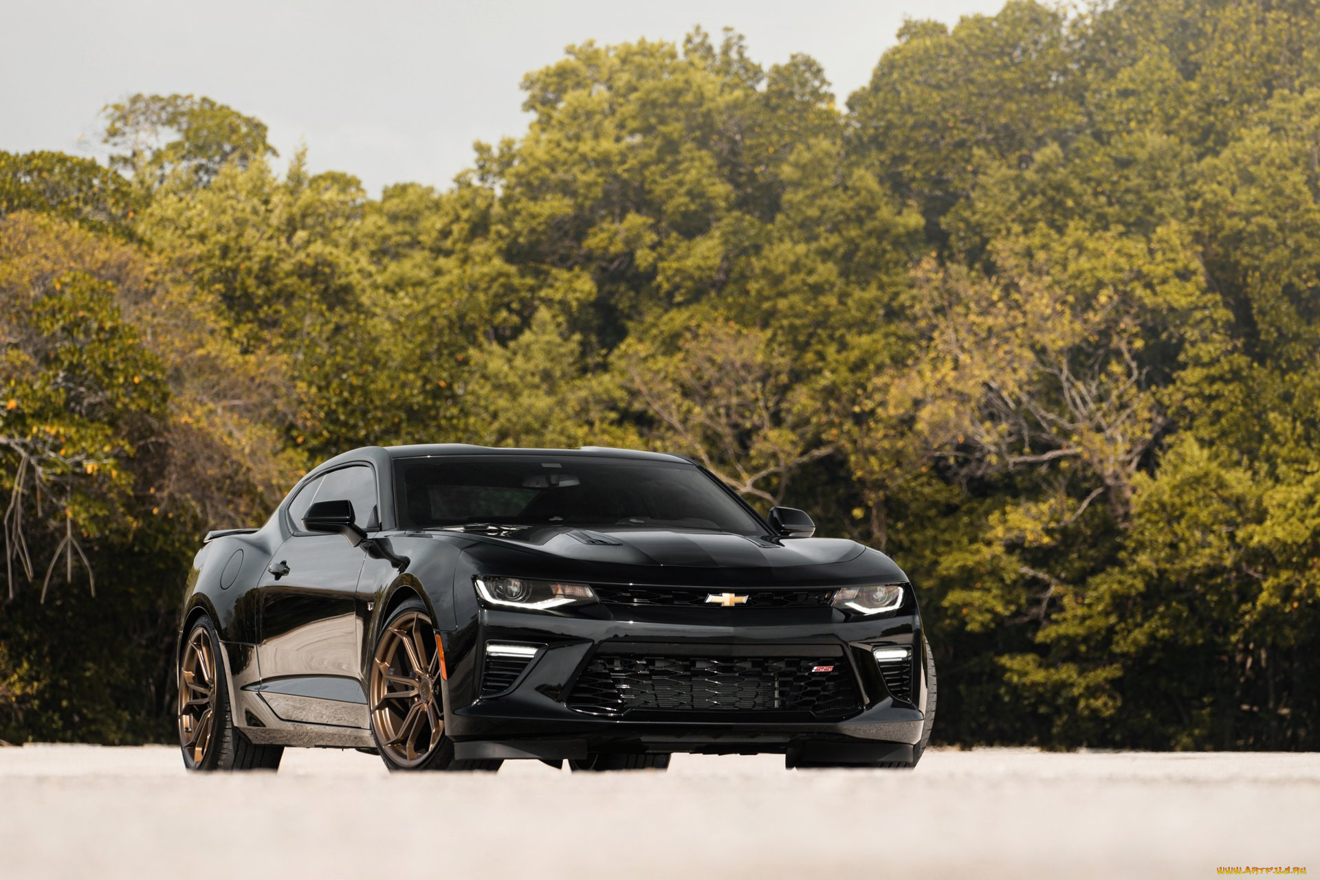 , camaro